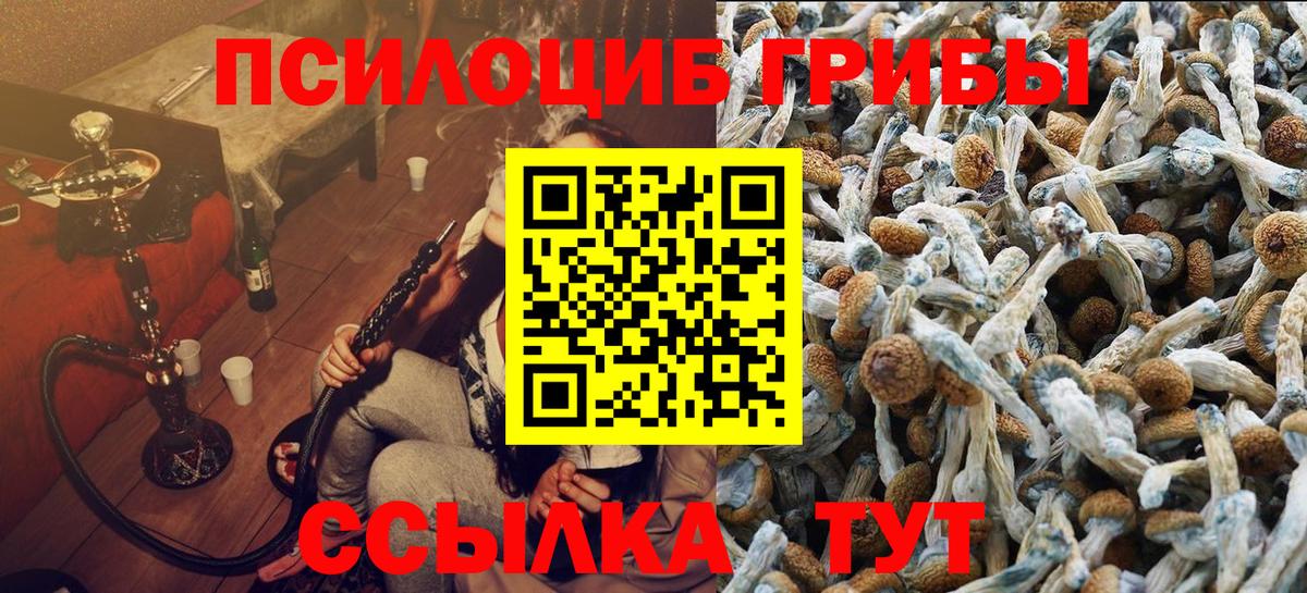 Галлюциногенные грибы мицелий Орехово-Зуево