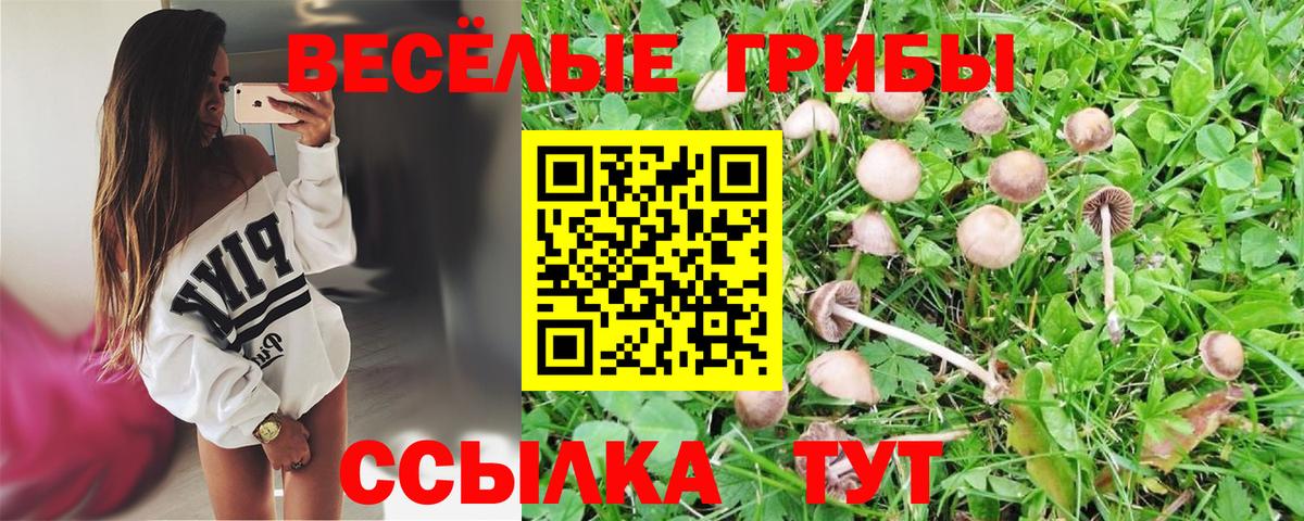 Псилоцибиновые грибы MAGIC MUSHROOMS  Вход с VPN  Орехово-Зуево 